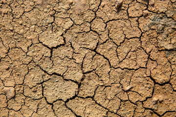 dry cracked earth