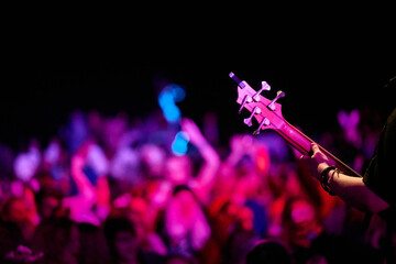 crowd of people at concert