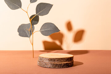 A wooden podium and a branch of eucalyptus. Beauty product mockup
