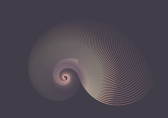 graphic swirling shell in retro shades