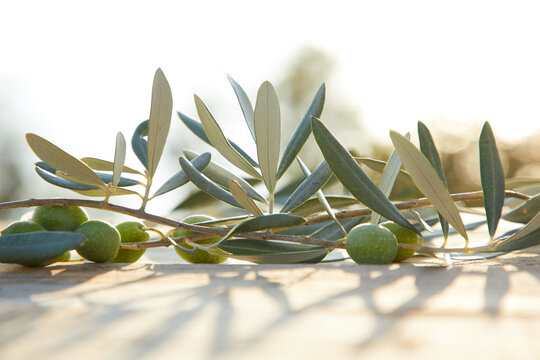 olive oil and green olive on the wooden background
