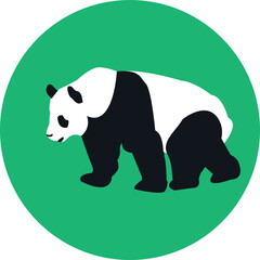 panda bear illustration vector