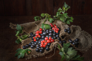 ripe currant berries