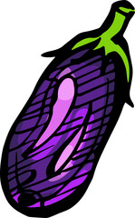 Hand drawn isolated ink eggplant. PNG colored illustration