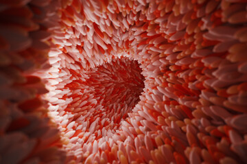 Microvilli on surface of digestive system or intestinal tract. 3D rendering.