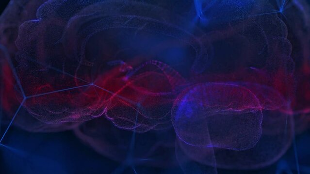 Human brain. Nervous system mesh of human 3d model brain.