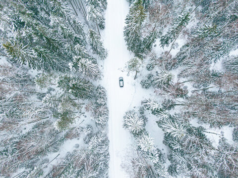 Drone shot of a car driving on a snowy road in the middle of a forest of pine trees in winter