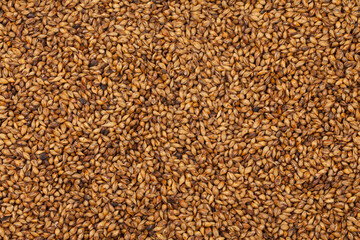 barley tea, barley, grain, grain, food, ingredients, food, food, seeds,보리차 ,보리 ,곡식, 곡물, 음식, 식재료 ,음식재료, 식품,씨,
