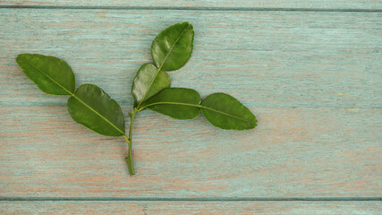 Kaffir lime green leaves on an old wood background.