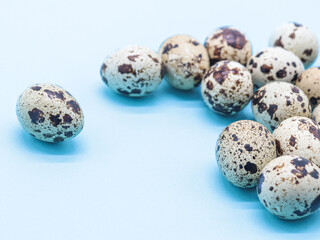 Fototapeta premium quail eggs on blue background