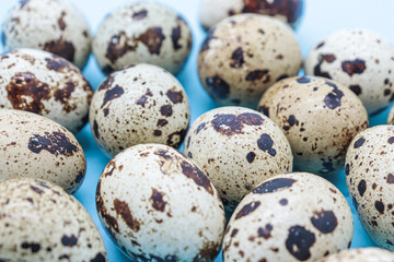 quail eggs on blue background