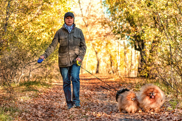 A woman walking with a pomeranian spitz dogs in a park.