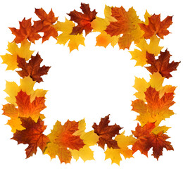 Naklejka na ściany i meble Colorful red, orange and yellow autumn maple leaves framery border isolated