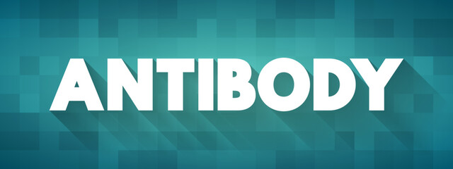 Antibody - is a large Y-shaped protein used by the immune system to identify and neutralize foreign objects such as pathogenic bacteria and viruses, text concept background