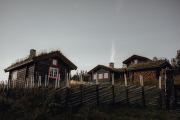 Old wooden cottages with green grass roofs, Norway
