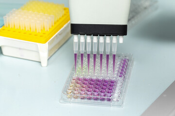 Antioxidant activity on microplate with DPPH radical
