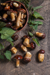 Pile of Imleria Badia or Boletus badius mushrooms commonly known as the bay bolete on vintage wooden background..