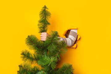 Hand holds a Christmas tree on a yellow background. Concept for New Years and Christmas Eve. Banner