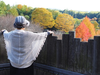 紅葉を眺める高齢日本人女性の後ろ姿