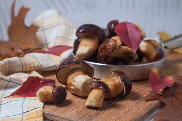 Several Imleria Badia or Boletus badius mushrooms commonly known as the bay bolete and vintage pan with mushrooms on wooden cutting board..