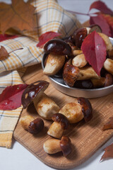 Several Imleria Badia or Boletus badius mushrooms commonly known as the bay bolete and vintage pan with mushrooms on wooden cutting board..
