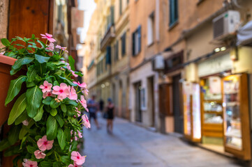 Mit Blumen geschmückte enge Gasse mit kleinen Geschäften in der Altstadt von Alghero auf Sardinien