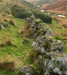 stone wall on Dartmoor