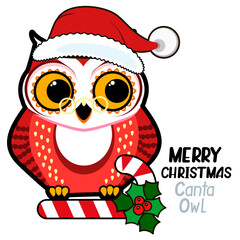 Cute owl Santa Claus. Christmas, New Year concept. Humorous cartoon vector illustration.
