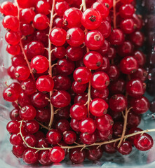 Group of red and wet currants in plastic container