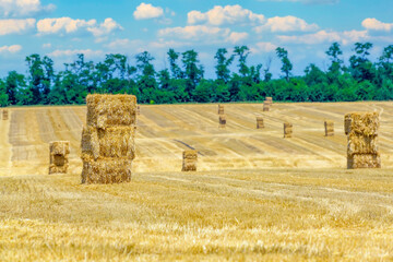 Bale of straw and dry hay in selective focus with sun glare on agricultural field. Harvesting concept.