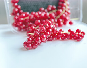 Group of red and wet currants on a white background