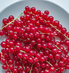 Group of red and wet currants on a white background