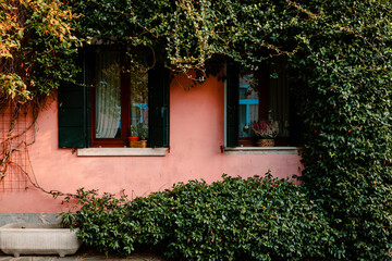 Fototapeta na wymiar Dwelling covered with green plant in Burano