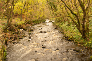 Haltwhistle Burn in autumn