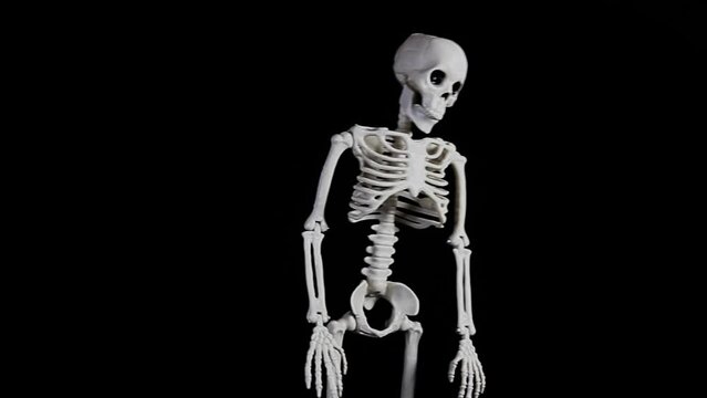 footage of sceleton dark background 
