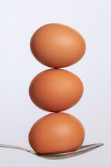 Chicken eggs in a brown shell on a spoon. The eggs are balanced.