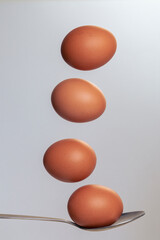 Chicken eggs in a brown shell on a spoon. The eggs are balanced.