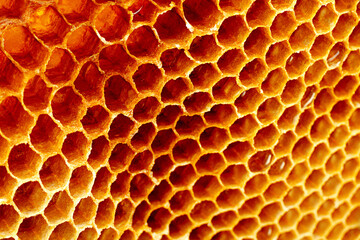 Yellow Honeycomb closeup structure