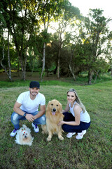 familia feliz com cachorros golden 