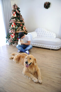 Familia Feliz Com Cachorros Em Casa 