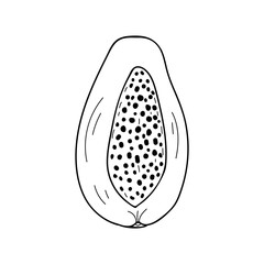 Papaya doodle illustration in vector. Papaya slice hand drawn illustration in vector. Tropical fruit