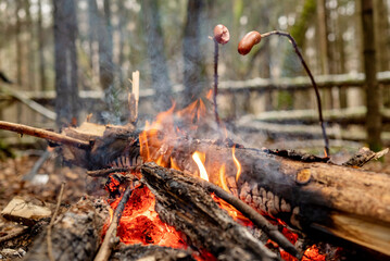 Sausages strung on rods roasting over the flames of campfire in the forest