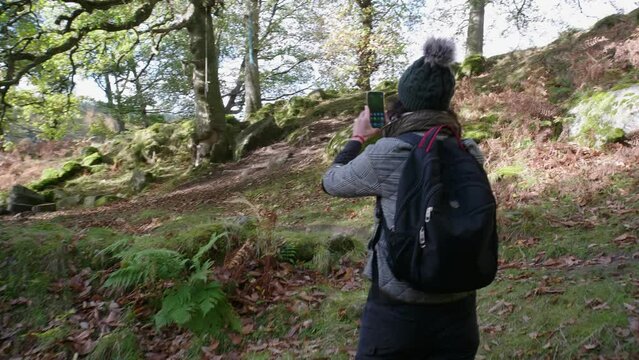 Female tourist takes photo of trees by mobile phone in woollen hat . Autumn background. Ireland . Europe