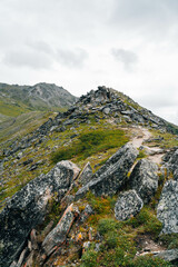 pathway to mountain landscape in the morning