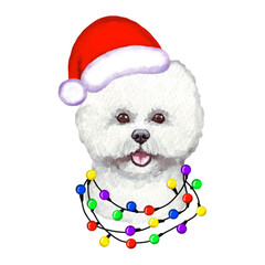 Bichon Frise Dog with christmas lights in Santa's hat. Cute Christmas illustration