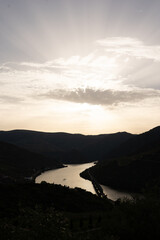 douro valley - obrazy, fototapety, plakaty