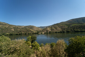 Fototapeta na wymiar douro valley
