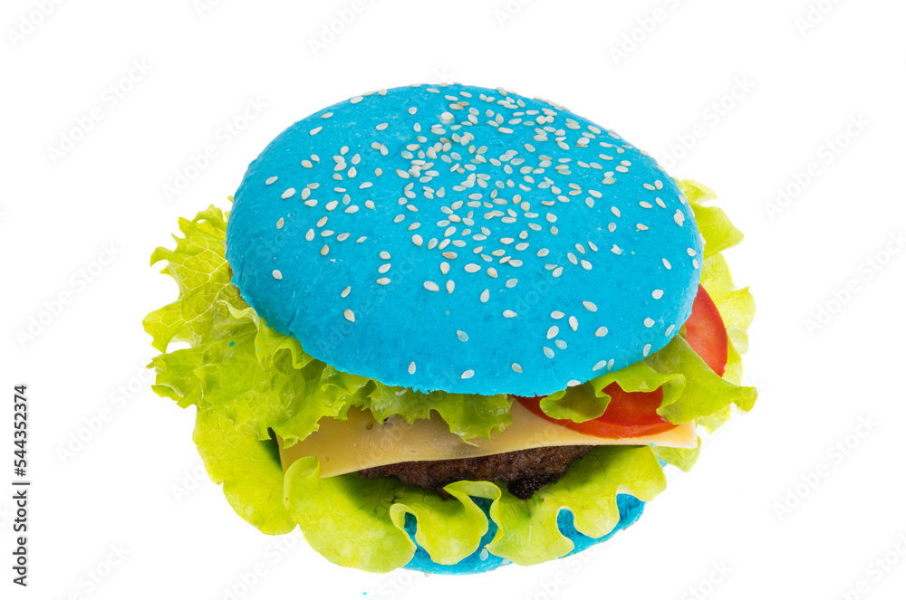 Poster burger with colored bun isolated