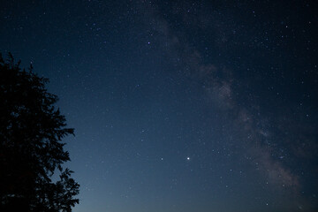 a beautiful night sky, the Milky Way and the trees