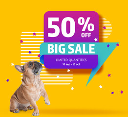 Advertising poster Pet Shop SALE. Cute dog and discount offer on yellow background